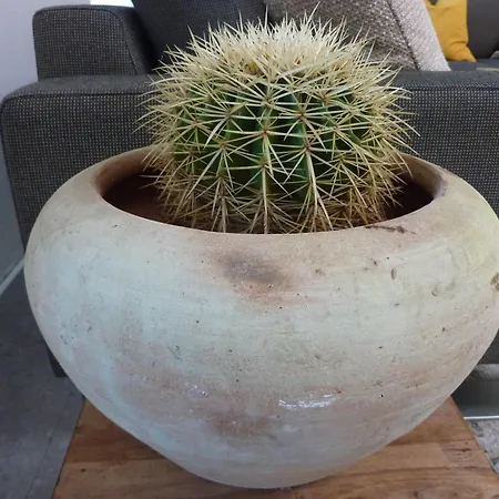 Apartment Kaktus Volders