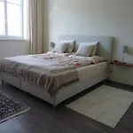 Kaktus