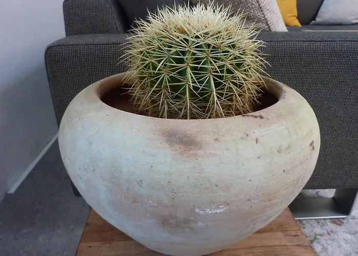 Apartmán Kaktus Volders